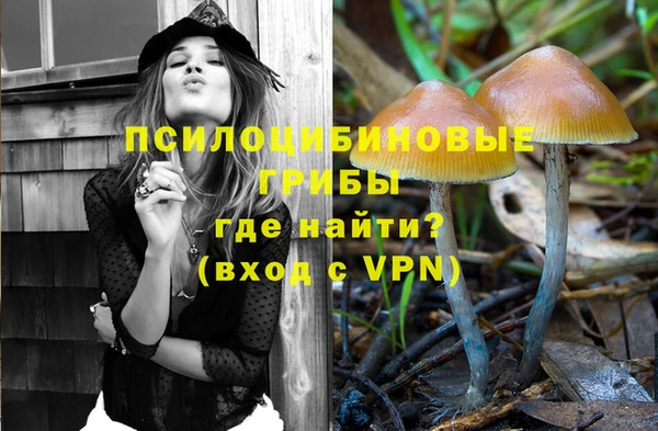 гашик Верхний Тагил